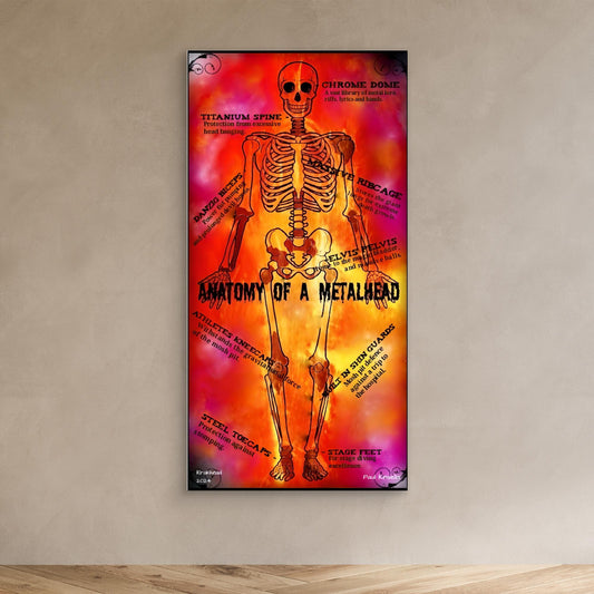 Anatomy of a metalhead.