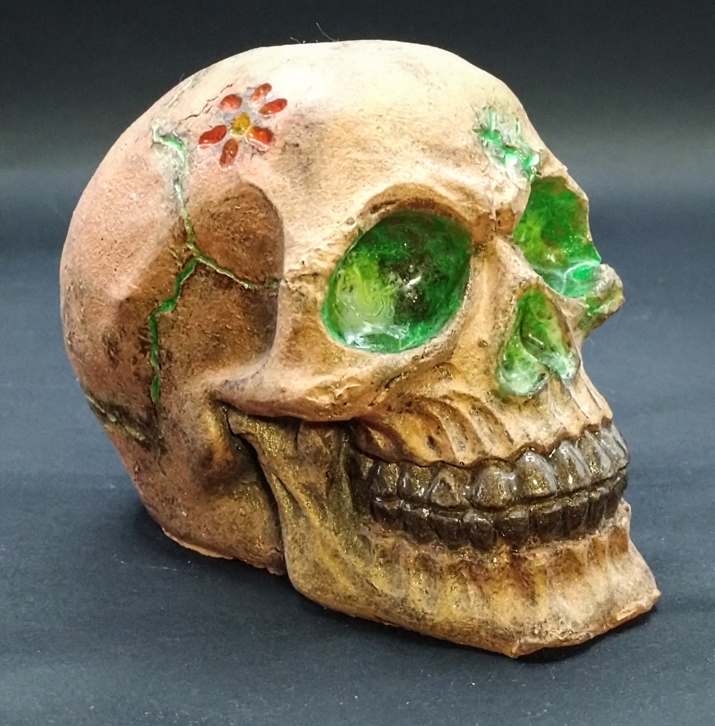 Nature unleashed. Resin skull and cube.