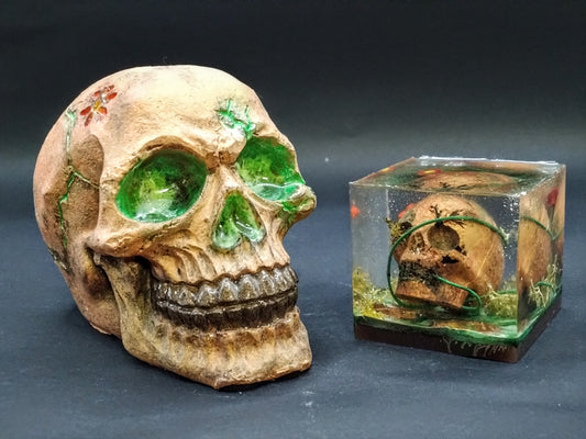 Nature unleashed. Resin skull and cube.