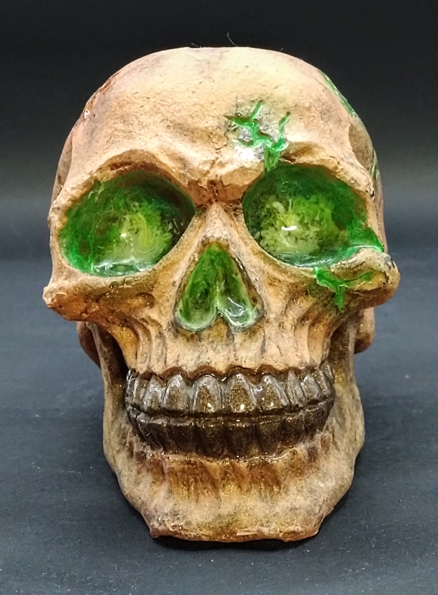 Nature unleashed. Resin skull and cube.