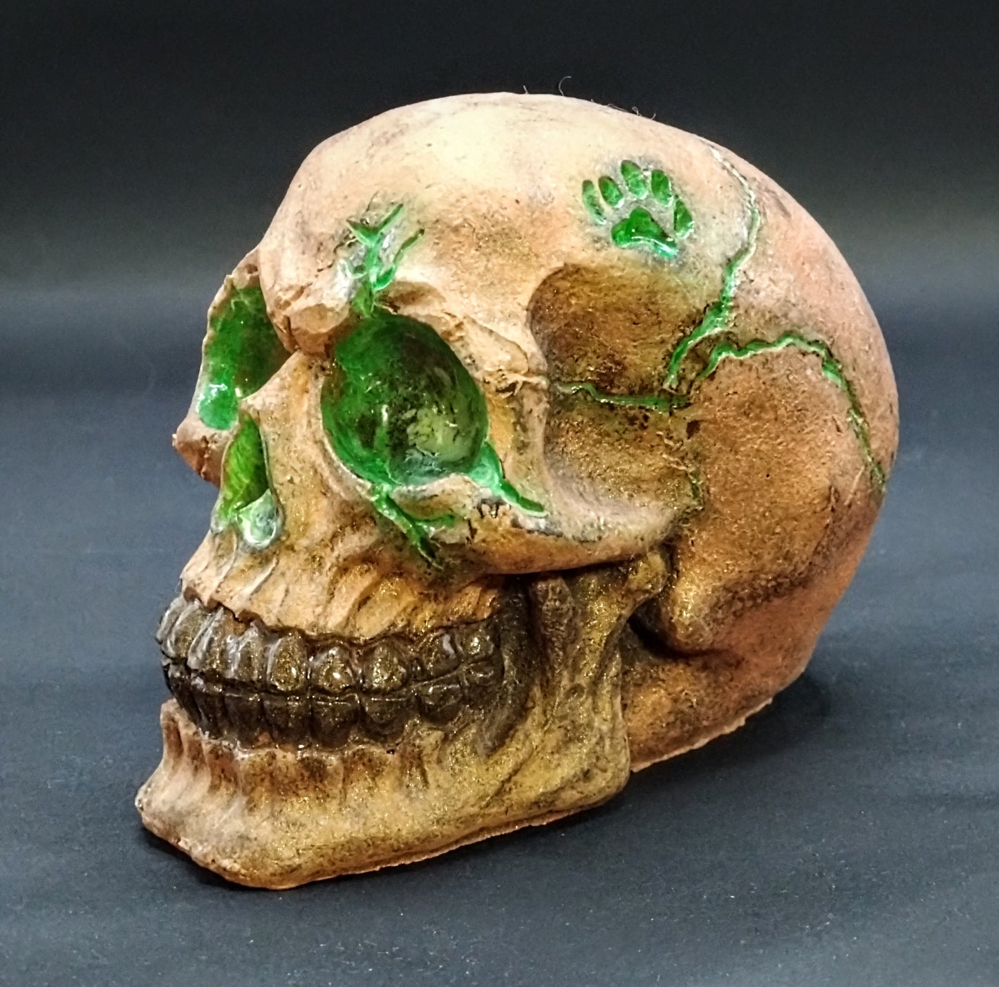 Nature unleashed. Resin skull and cube.